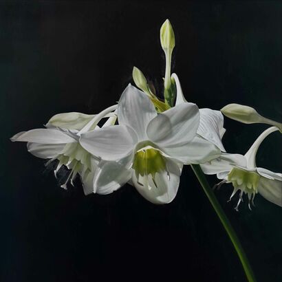 \'Stillness Within (Amazon Lily I)\' - a Paint Artowrk by Trish Mitchell